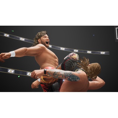 Игра AEW: Fight Forever для PlayStation 5