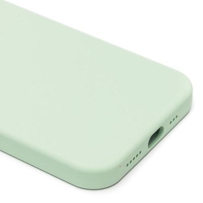 Чехол-накладка для Apple iPhone 12/iPhone 12 Pro (фисташковый) ORG Silicone Case SafeMag с анимацией