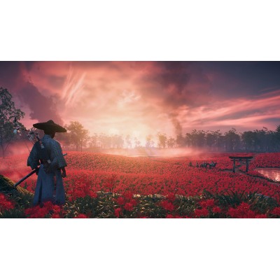 Диск Ghost Of Tsushima Director's Cut для Playstation 4