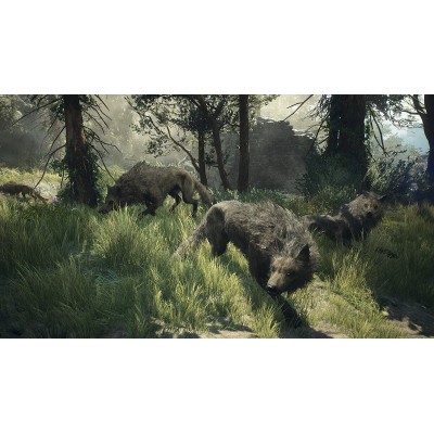 Диск Dragons Dogma 2 PS5 Новый