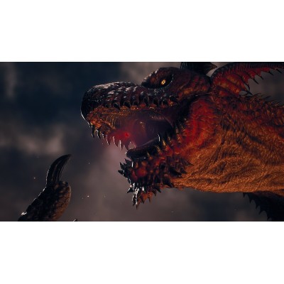 Диск Dragons Dogma 2 PS5 Новый