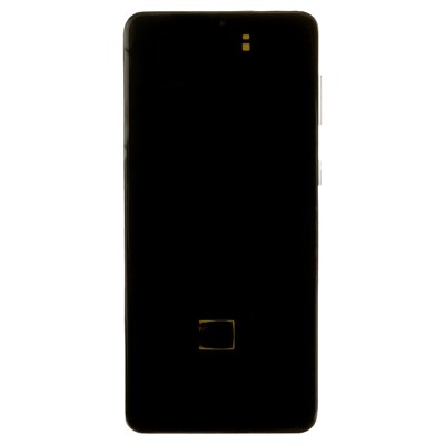 Дисплей для Samsung G996B S21+ модуль Серебро - (OLED) (Full Size)