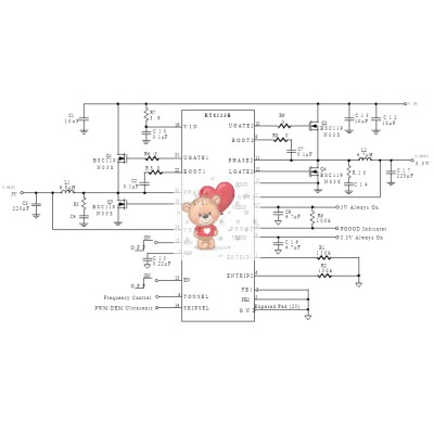 RT8223BGQW DS=