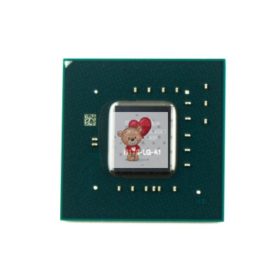 N17S-LG-A1