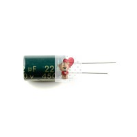 Конденсатор 450V 22uF Конденсатор 450V 22uF