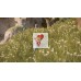 Диск Uncharted 4: A Thief’s End (Путь Вора) PS4 Без плёнки