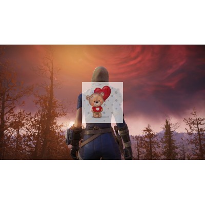 Диск Fallout 76 PS4 Без плёнки