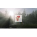 Диск Red Dead Redemption 2 PS4 Без плёнки
