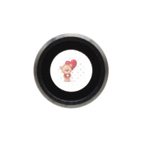 Стекло камеры для iPhone 6/iPhone 6S Серебро Стекло камеры для iPhone 6/iPhone 6S Серебро