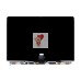 Матрица для MacBook Air M3 13" A2681 (2022-2024) (LG 820-02442-08)