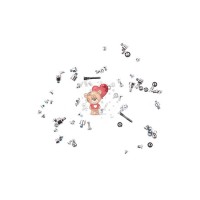 Набор винтов для Apple iPhone 13 Pro (внутренние)