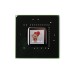 N13P-GL1-A1