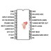 CA3089E
