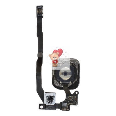 Шлейф для iPhone 5S на кнопку HOME в сборе Белый Шлейф для iPhone 5S на кнопку HOME в сборе Белый