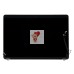 Матрица в сборе Apple MacBook Pro 15 Retina A1398 Late 2013 Mid 2014